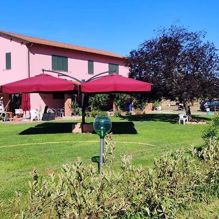 Agriturismo Calendiluna Luni Zewnętrze zdjęcie
