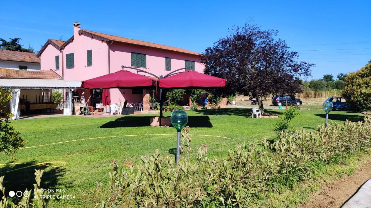 Agriturismo Calendiluna Luni Zewnętrze zdjęcie